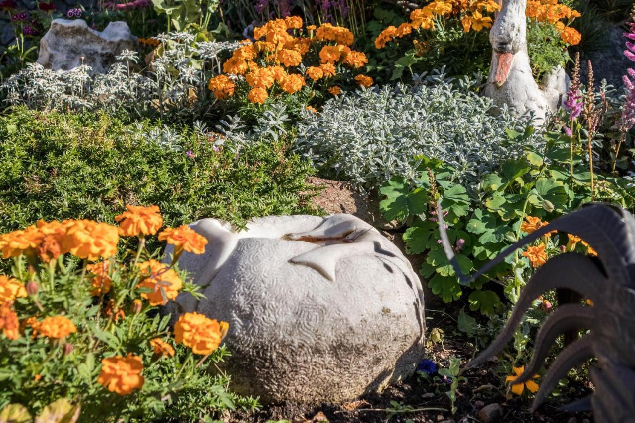 Tonigbauernhof Blumenwiese سكين المظهر الخارجي الصورة