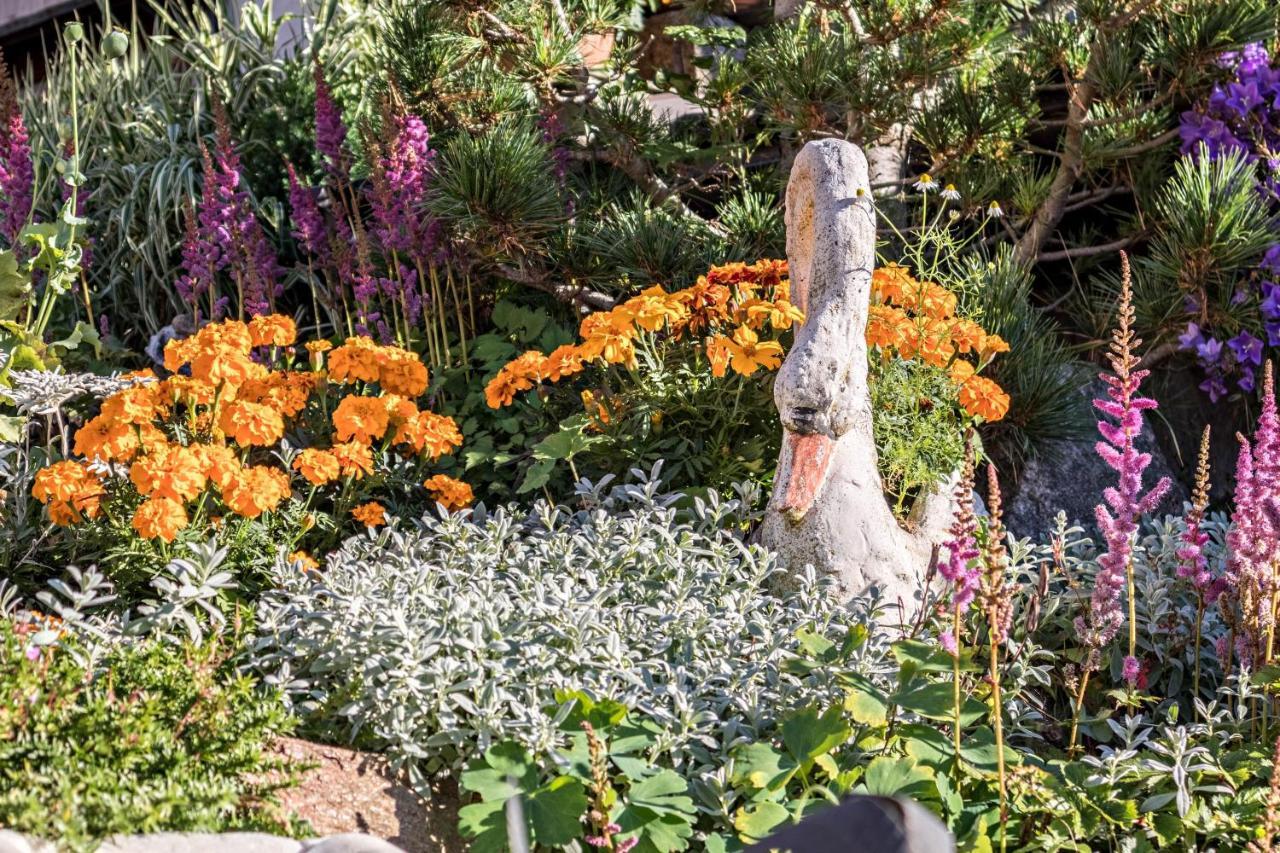 Tonigbauernhof Blumenwiese سكين المظهر الخارجي الصورة
